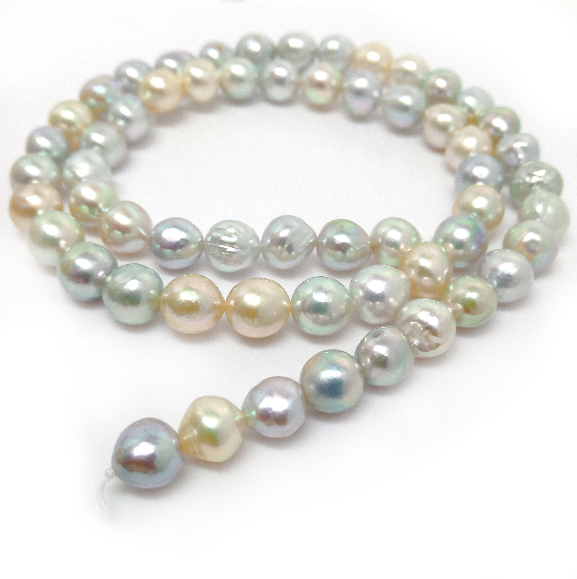 Natural Multicoloured Akoya Pearls